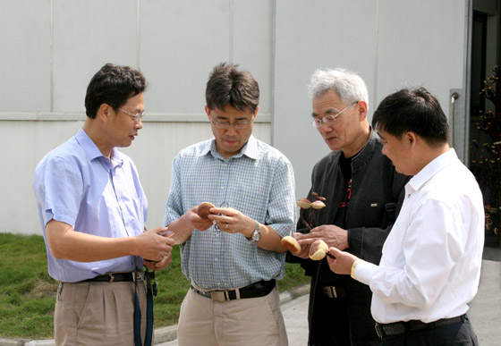 中国·tyc41183太阳成集团(股份)有限公司-Official website