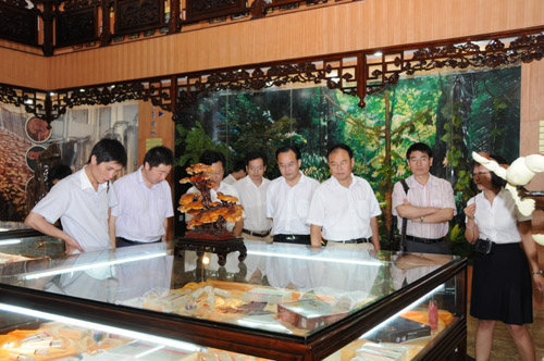中国·tyc41183太阳成集团(股份)有限公司-Official website