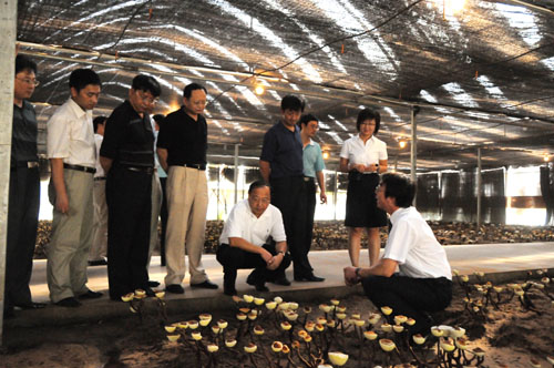 中国·tyc41183太阳成集团(股份)有限公司-Official website
